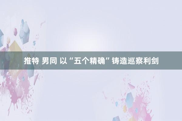 推特 男同 以“五个精确”铸造巡察利剑
