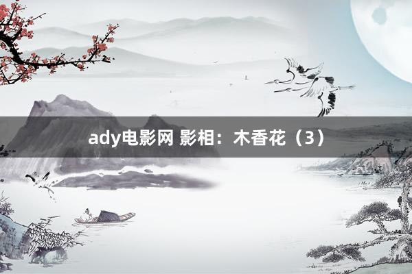 ady电影网 影相：木香花（3）